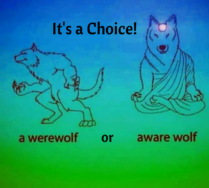 Make a choice on DrStandley.com
