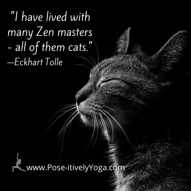 Take LIVE classes with Pose-itively Yoga anywhere in the world - Purely and Pose-itively Yoga