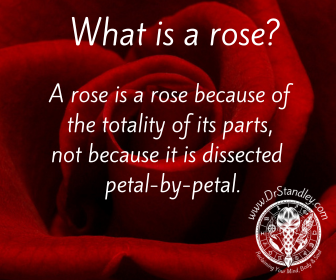 What is a rose on DrStandley.com